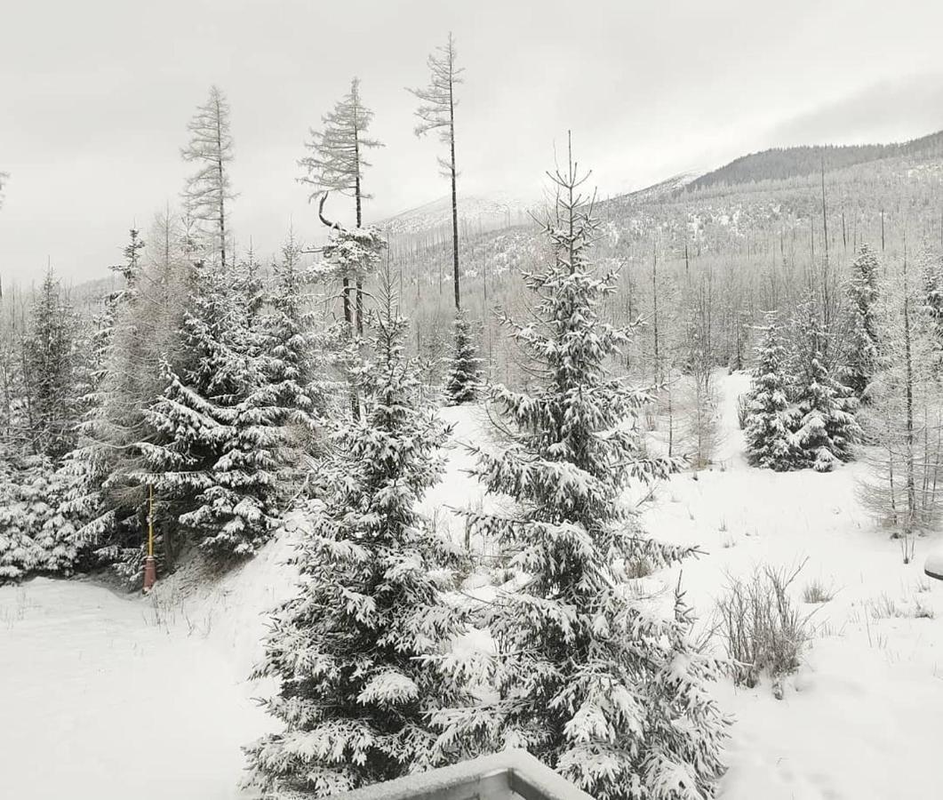 Ubytovanie Pod Gerlachom Високе-Татри Экстерьер фото